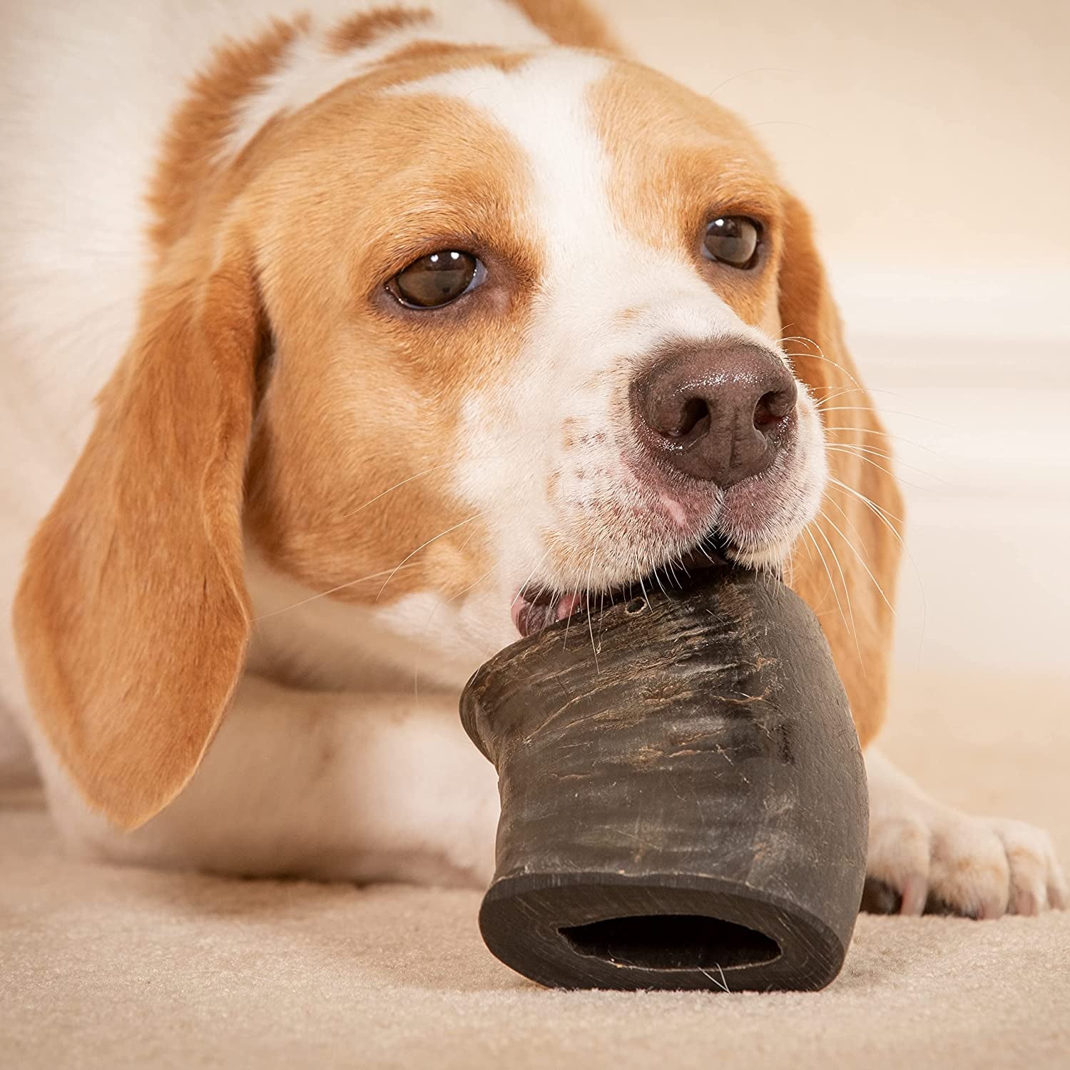 Grain free water buffalo dog chews