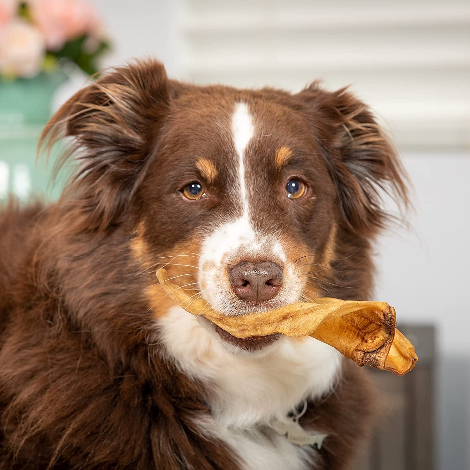 Grain free water buffalo dog chews