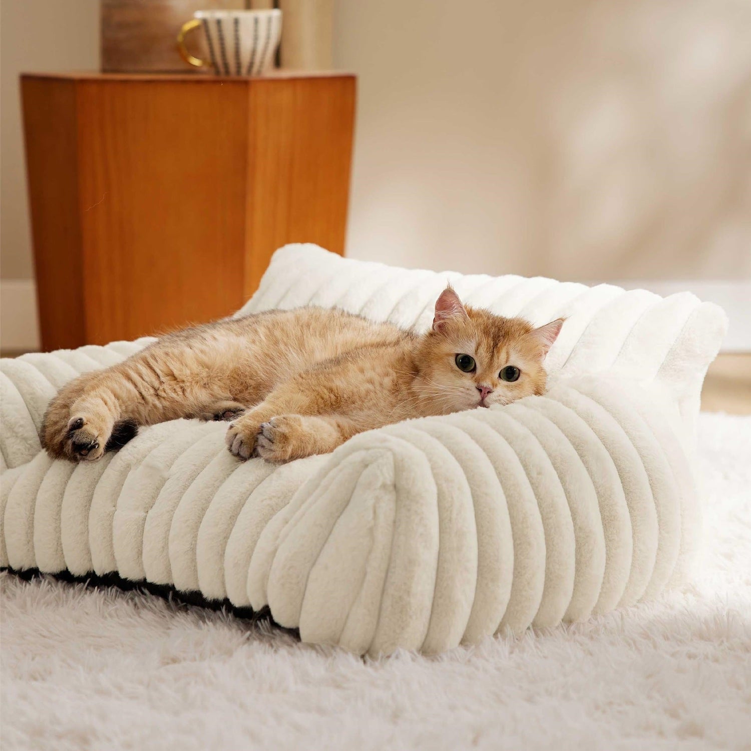 Beds Furniture &amp; Comfort