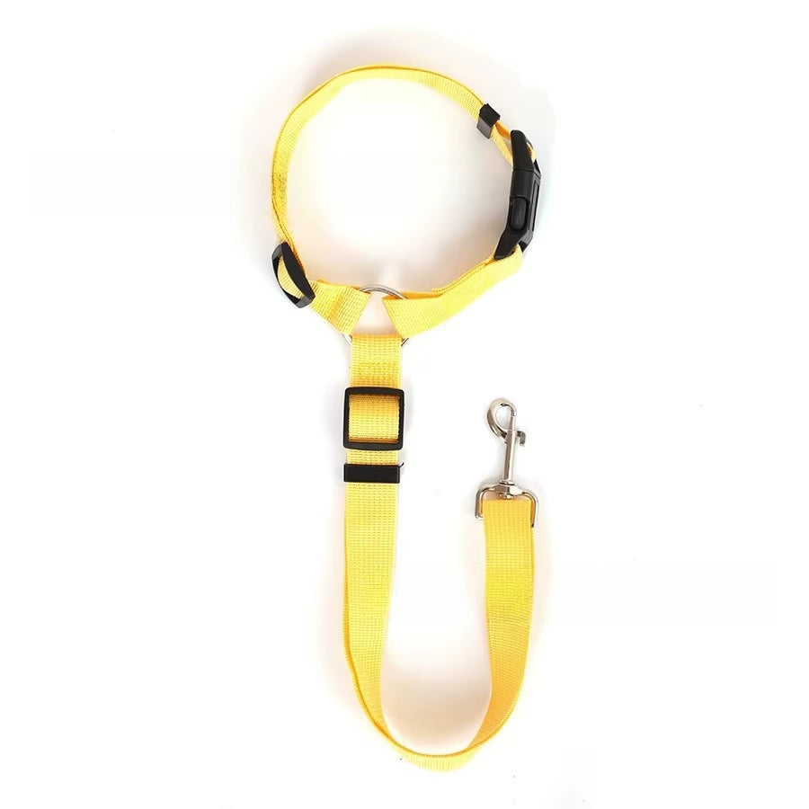SafeRide DuoLeash – 2-in-1 Car Seat Belt &amp; Walking Leash for Dogs on the Move