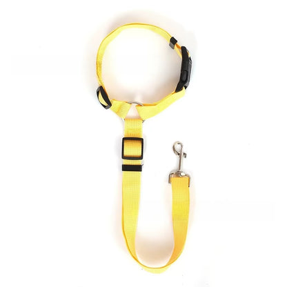 SafeRide DuoLeash – 2-in-1 Car Seat Belt &amp; Walking Leash for Dogs on the Move