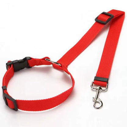 SafeRide DuoLeash – 2-in-1 Car Seat Belt &amp; Walking Leash for Dogs on the Move