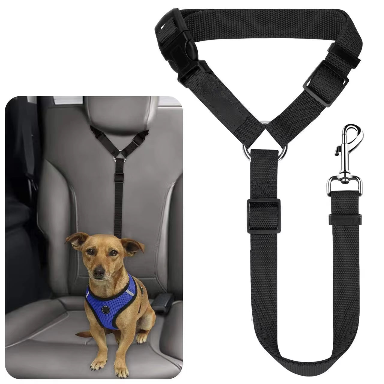 SafeRide DuoLeash – 2-in-1 Car Seat Belt &amp; Walking Leash for Dogs on the Move