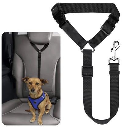 SafeRide DuoLeash – 2-in-1 Car Seat Belt &amp; Walking Leash for Dogs on the Move