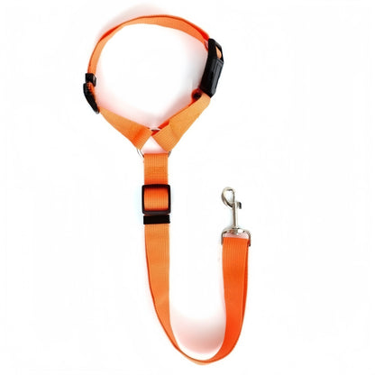 SafeRide DuoLeash – 2-in-1 Car Seat Belt &amp; Walking Leash for Dogs on the Move
